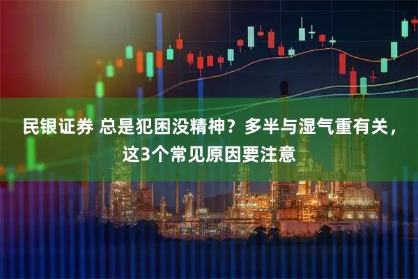 民银证券 总是犯困没精神？多半与湿气重有关，这3个常见原因要注意