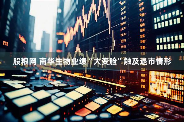 股粮网 南华生物业绩“大变脸”触及退市情形