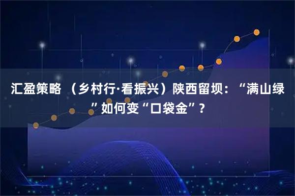 汇盈策略 （乡村行·看振兴）陕西留坝：“满山绿”如何变“口袋金”？