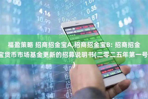 福盈策略 招商招金宝A,招商招金宝B: 招商招金宝货币市场基金更新的招募说明书(二零二五年第一号)