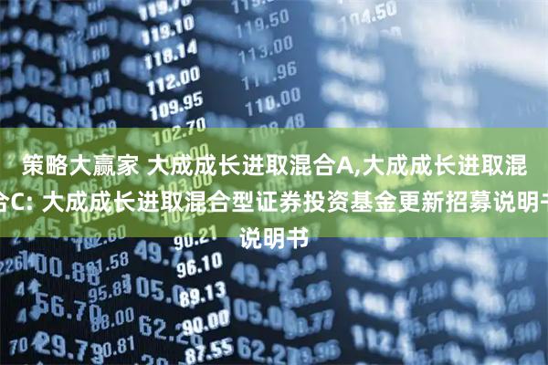 策略大赢家 大成成长进取混合A,大成成长进取混合C: 大成成长进取混合型证券投资基金更新招募说明书