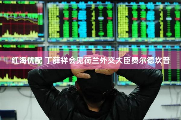 红海优配 丁薛祥会见荷兰外交大臣费尔德坎普