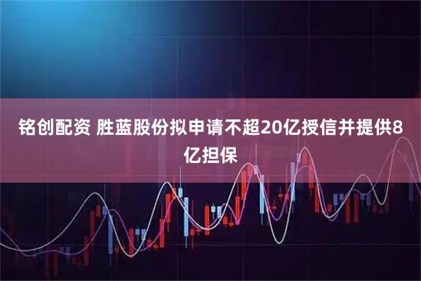 铭创配资 胜蓝股份拟申请不超20亿授信并提供8亿担保
