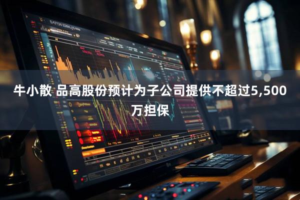 牛小散 品高股份预计为子公司提供不超过5,500万担保