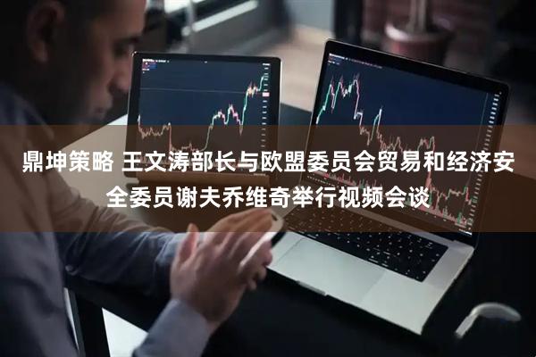 鼎坤策略 王文涛部长与欧盟委员会贸易和经济安全委员谢夫乔维奇举行视频会谈