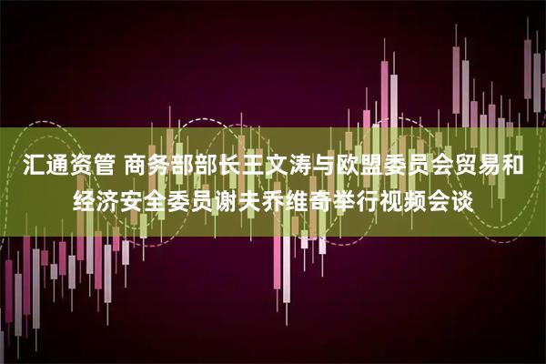 汇通资管 商务部部长王文涛与欧盟委员会贸易和经济安全委员谢夫乔维奇举行视频会谈