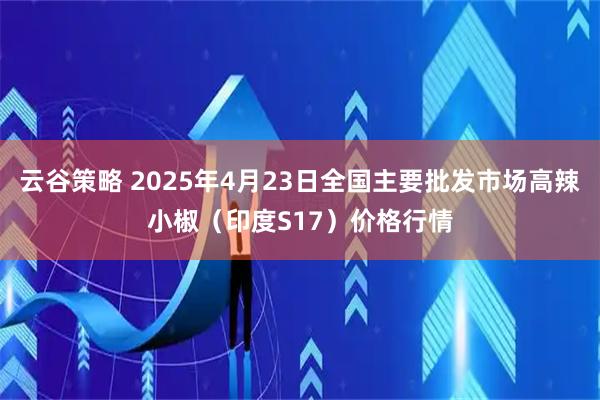 云谷策略 2025年4月23日全国主要批发市场高辣小椒（印度S17）价格行情