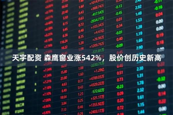 天宇配资 森鹰窗业涨542%，股价创历史新高