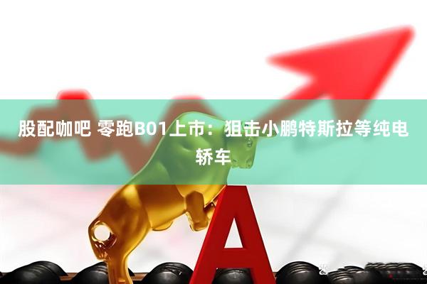 股配咖吧 零跑B01上市：狙击小鹏特斯拉等纯电轿车